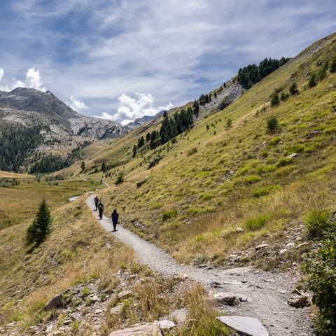 SOWELL - Marmotel & Spa - Alpes-de-Haute-Provence - Image N°3