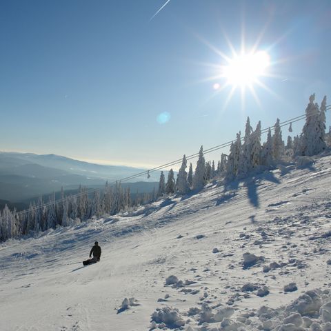 Landal Arber - Bavaria - Image N°4