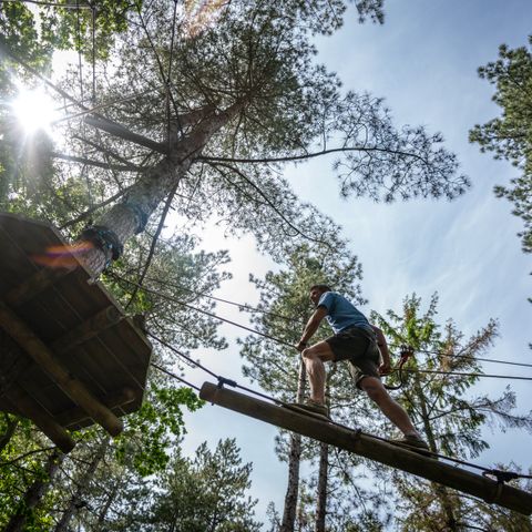 Landal Arber - Camping Bavaria - Image N°3