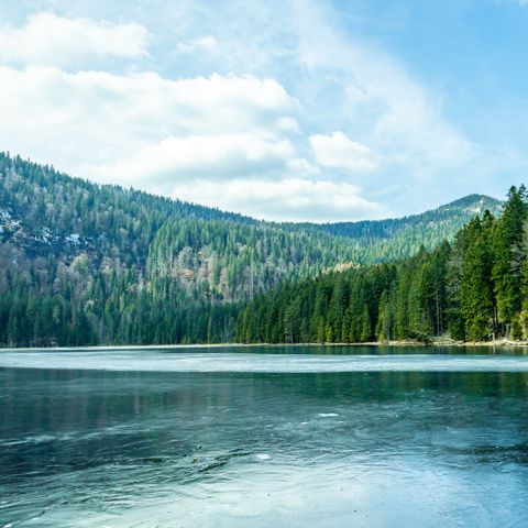 Landal Arber - Camping Bavaria - Image N°6