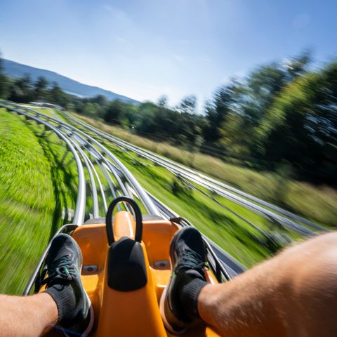 Landal Arber - Camping Bavaria - Image N°5