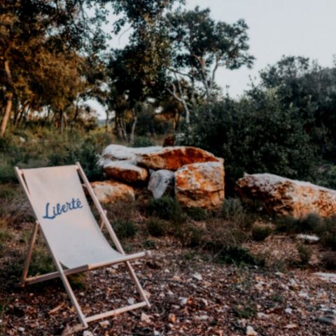 Pitch - Single location