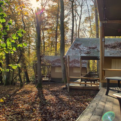 Canvas and wooden tent 6 persons - Forest