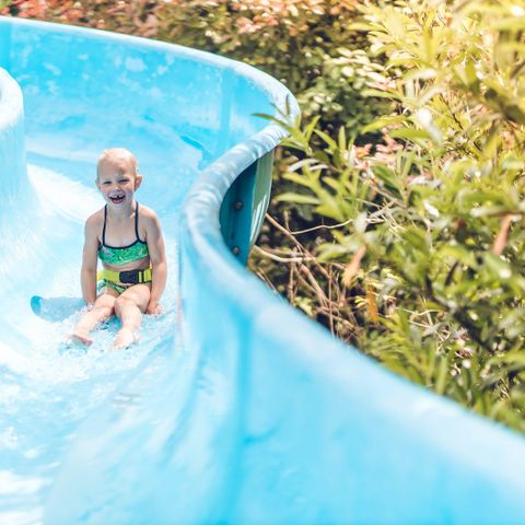 Veluwepark de Bosgraaf - Camping Apeldoorn - Image N°2
