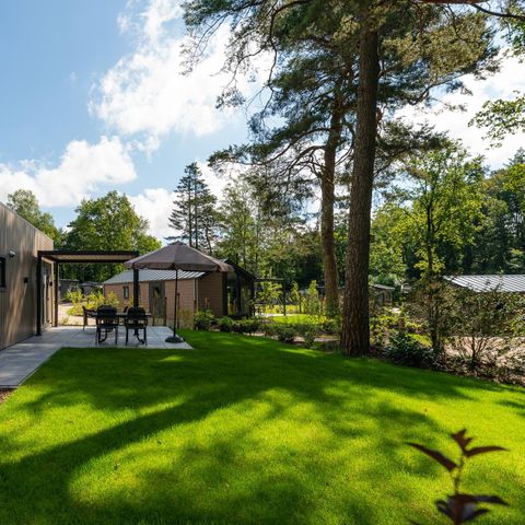 CHALET 4 people - Loevestein