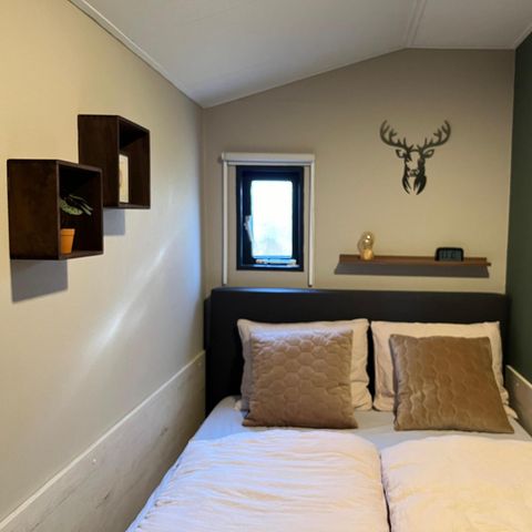 CHALET 6 people - Veluwe