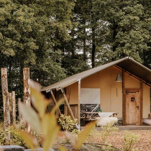 CANVAS AND WOOD TENT 6 people