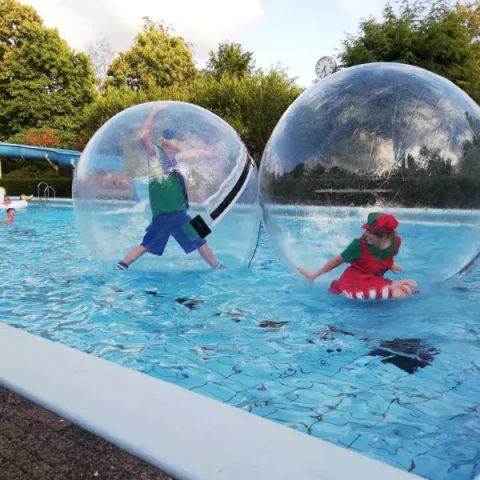 Veluwepark de Bosgraaf - Camping Apeldoorn - Image N°6