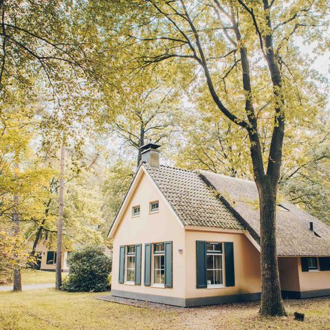 Bungalow 4 persons - Esdorp with box bed | 4+2 persons