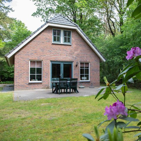 BUNGALOW 8 people - Stuifzand