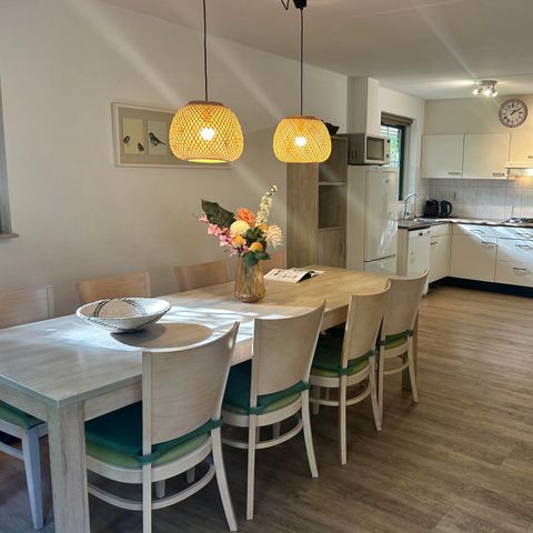 Bungalow 8 persons - Stuifzand