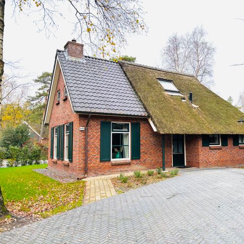 BUNGALOW 6 people - Stuifzand Wellness Outdoor Bungalow Deluxe with Bedstee | 6+2 persons