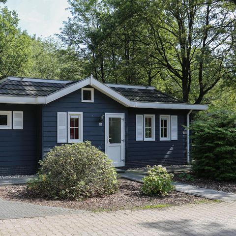 CHALET 6 people - Dotterbloem