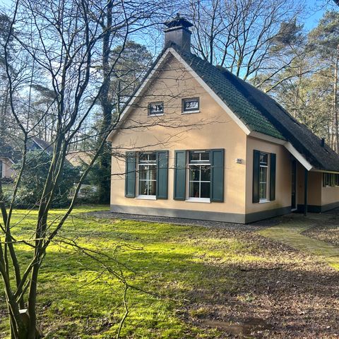BUNGALOW 6 people - Esdorp Basic with Box Bed | Sleeps 4+2