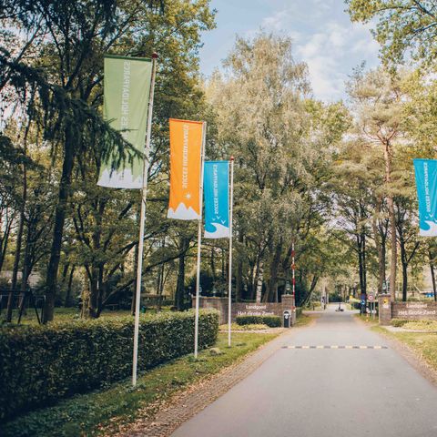 Landgoed Het Grote Zand - Midden-Drenthe - Image N°5