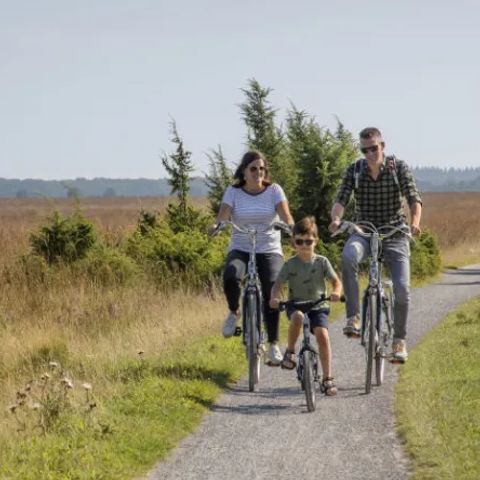 Buitenplaats de Hildenberg - Ooststellingwerf - Image N°6