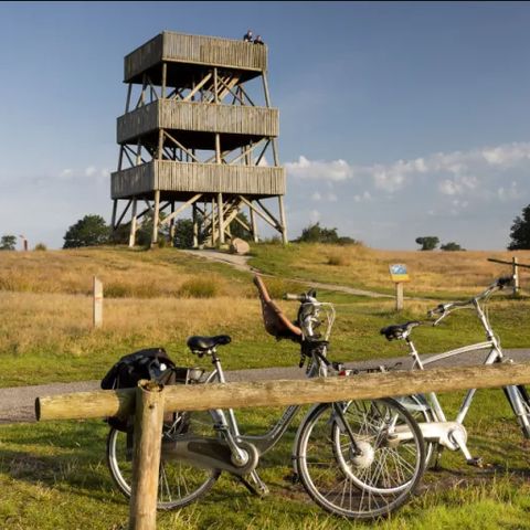 Buitenplaats de Hildenberg - Ooststellingwerf - Image N°3