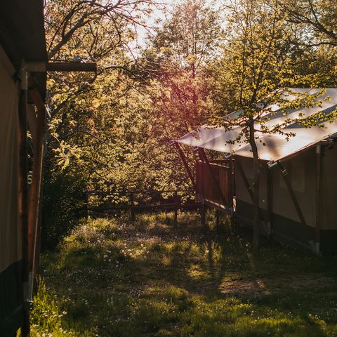 Canvas and wooden tent 6 persons - Garden