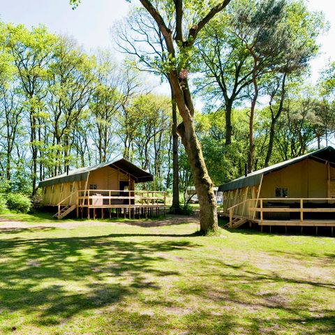 Lodge 6 persons - Summer