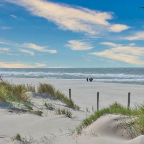 CANVAS AND WOOD TENT 6 people - Safari Lodge B