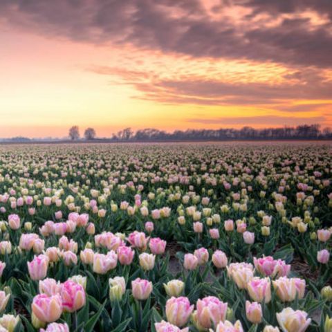 CHALET 5 people - J 087