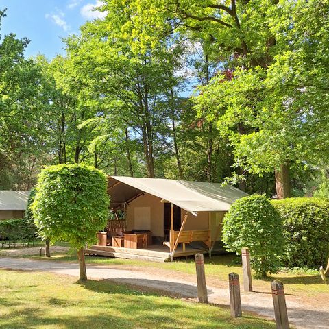 Canvas and wooden tent 6 persons - Safari tents without sanitary facilities