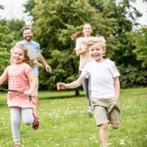 Floreal Holidays Camping Het Veen - West Flanders - Image N°4