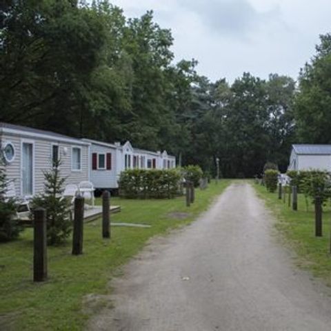 Floreal Holidays Camping Het Veen - Camping West Flanders - Image N°4