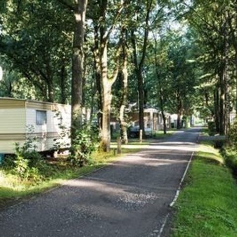 Floreal Holidays Camping Het Veen - Camping West Flanders - Image N°3