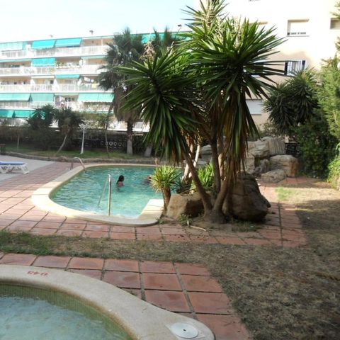 Apartamentos Palas by Viajes Velero - Salou - Camping Tarragona - Image N°2