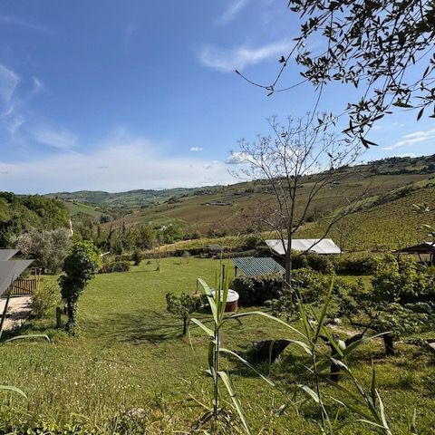 TENT 4 people - Glamping tent incl. sanitary facilities