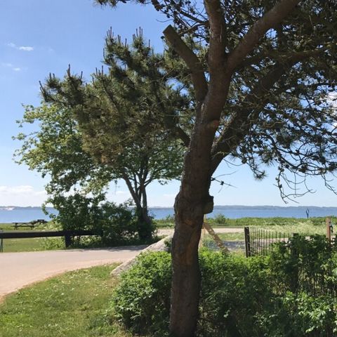 Vodatent Rosenvold Strand Camping - Jutland-Central - Image N°4