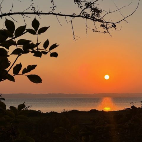 Vodatent Rosenvold Strand Camping - Jutland-Central - Image N°6