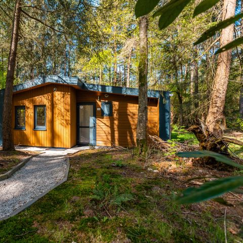 Chalet 6 persons - Zandborg