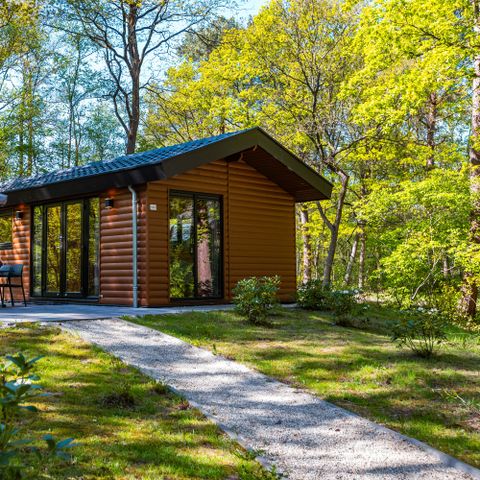 Chalet 4 persons - Sterrenborg lodge