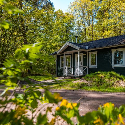 Chalet 6 persons - Vennenborg lodge with hot tub