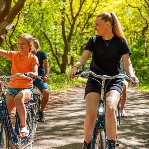 Vakantiepark De Wiltzangh - De Wolden - Image N°4