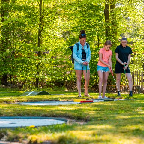 Vakantiepark De Wiltzangh - De Wolden - Image N°3