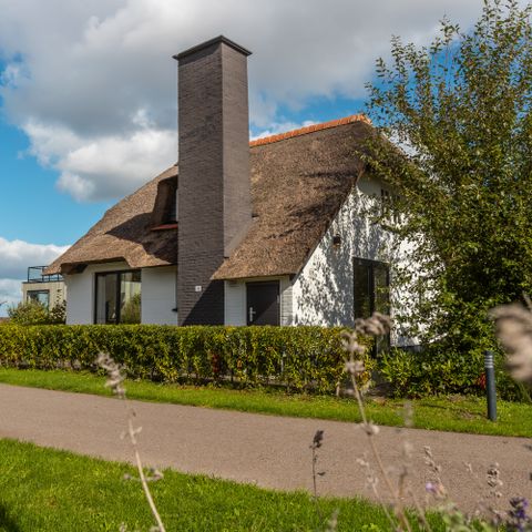 Villa 6 persons - Weerribben