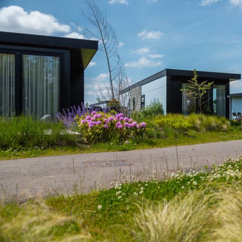 Lodge 5 persons - Reedland