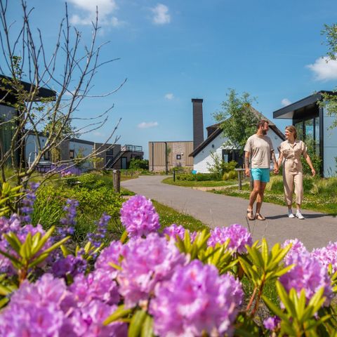 Vakantiepark De Wiedense Meren - Camping Steenwijkerland - Image N°3
