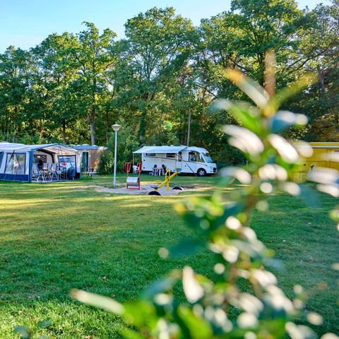 Pitch - Pitch | Essential | Tent | Vehicle +7m | >120m² | Electricity | No water