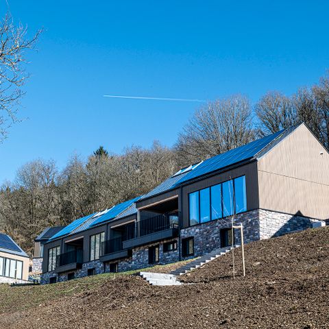 Anatura Ardenne - Belgian Luxembourg - Image N°5