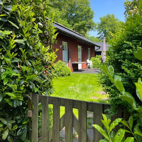 HOUSE 4 people - The Dale