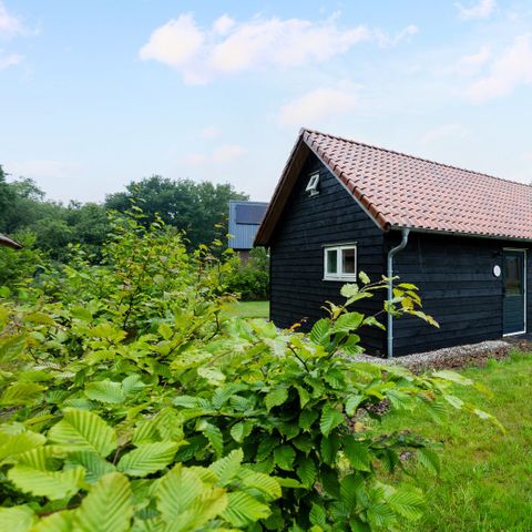 House 4 persons - Forest cottage Luna