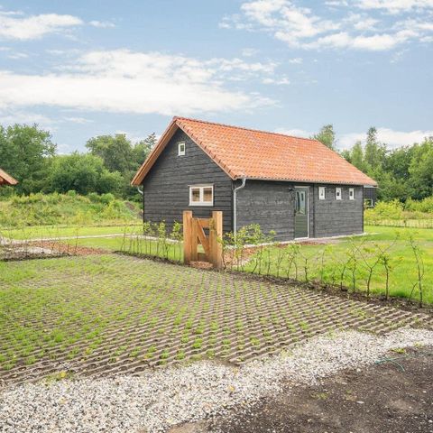 UNUSUAL ACCOMMODATION 4 people - Forest cottage Shrub Heath