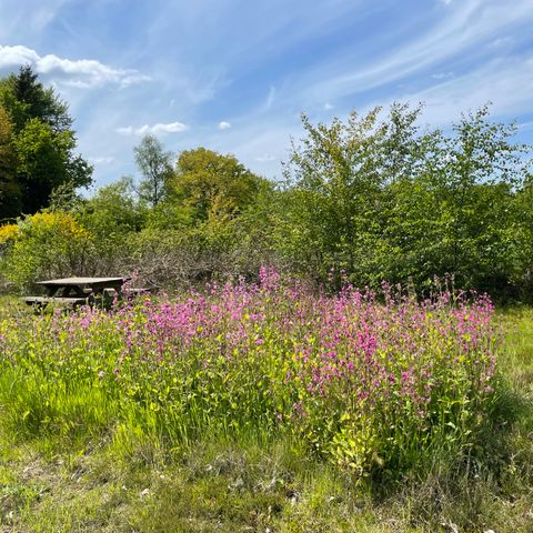 BUNGALOW 2 people - The Red Burr