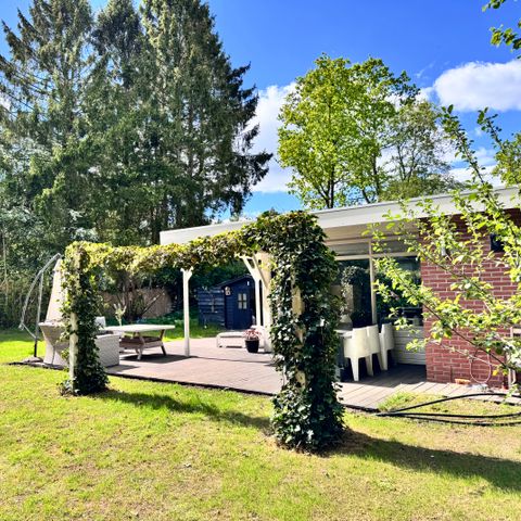 BUNGALOW 4 people - Butterfly bush