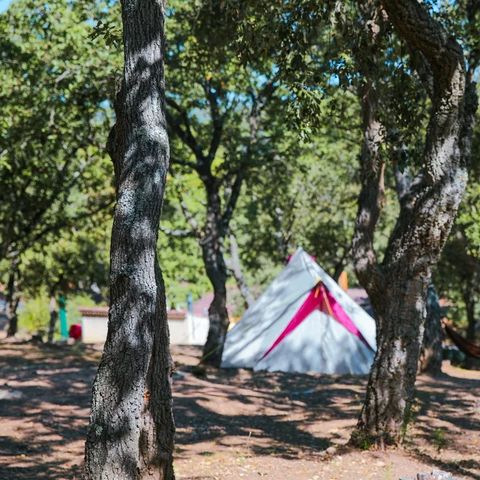 Camping Ladouceur - Ramatuelle Saint Tropez - Var - Image N°4