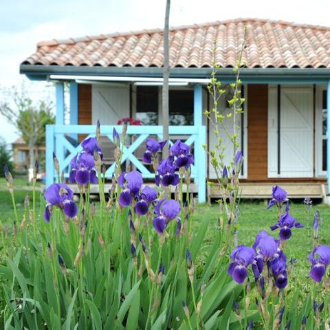 CHALET 10 people - Lodge chalet Twin 65m²+35m²